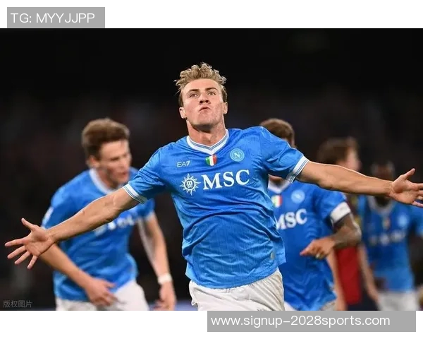 霍伊伦的传奇人生与时代变迁的深刻影响探讨